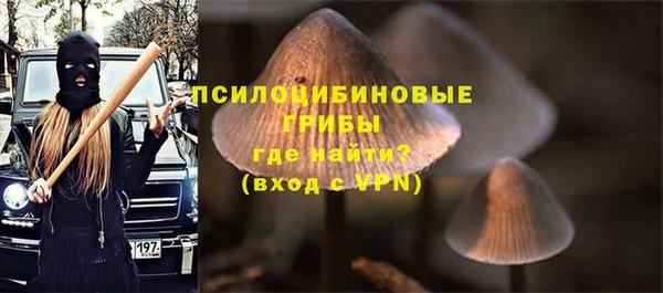 первитин Заволжье