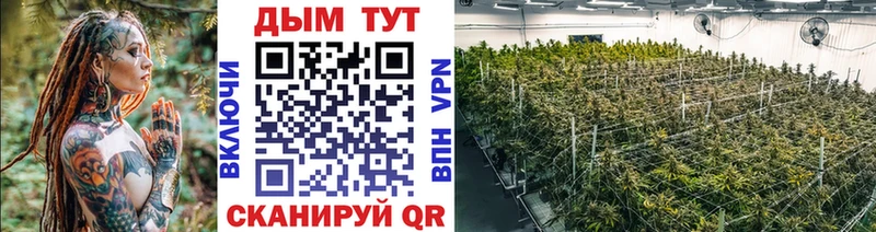 Купить  Чаплыгин  МАРИХУАНА тримм 